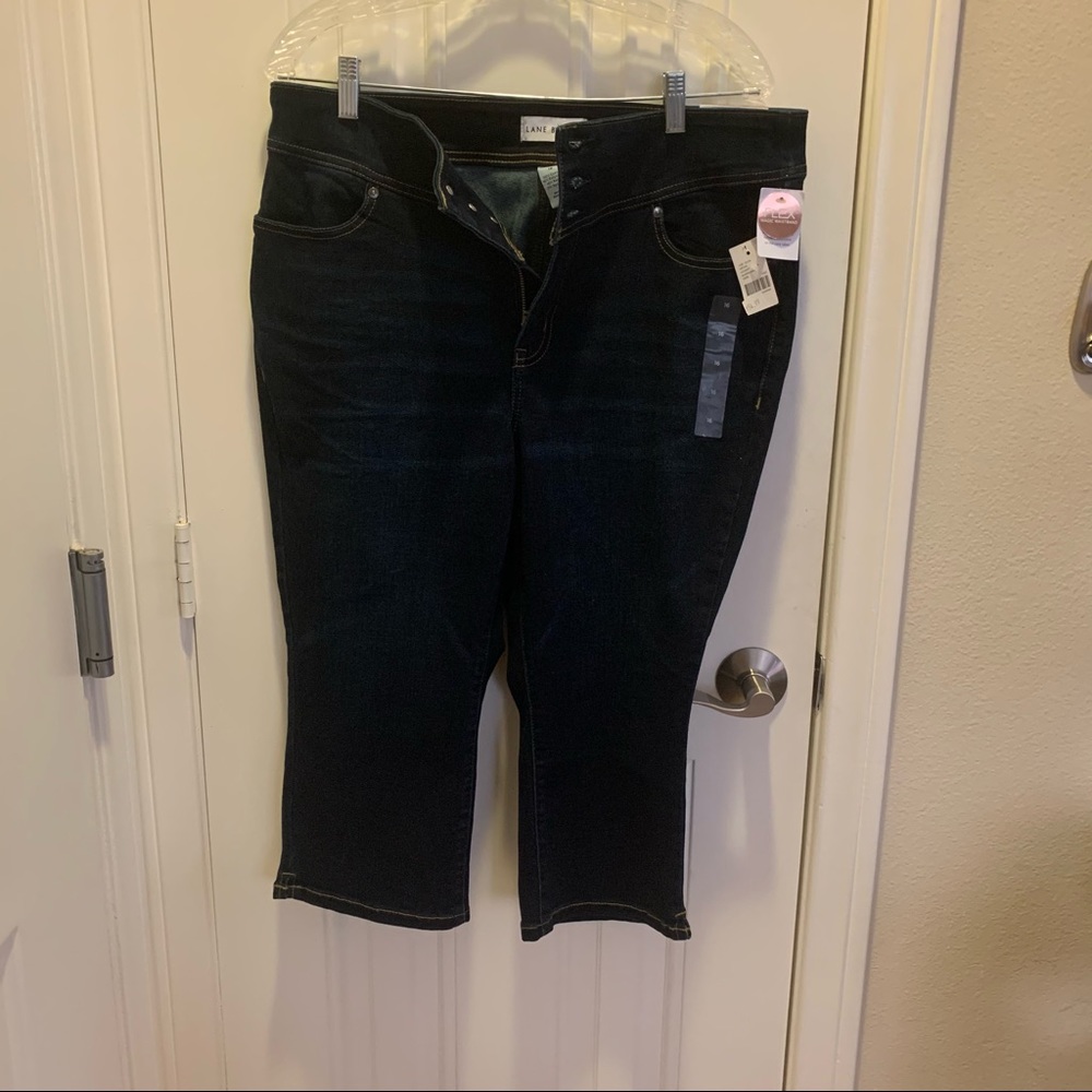 Lane Bryant High Rise Jegging Crop